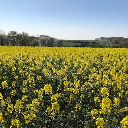 别墅 Marie-lou Entierement Renovee *