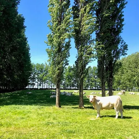 别墅 Marie-lou Entierement Renovee *