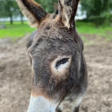 Marie-lou Entierement Renovee * Neuville-sous-Montreuil