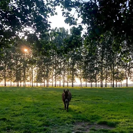 别墅 Marie-lou Entierement Renovee Neuville-sous-Montreuil